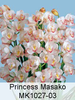 Princess Masako