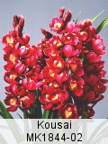 Kousai