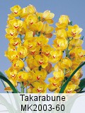 Takarabune