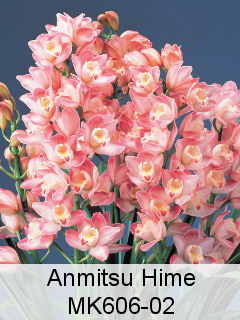 Anmitsu Hime