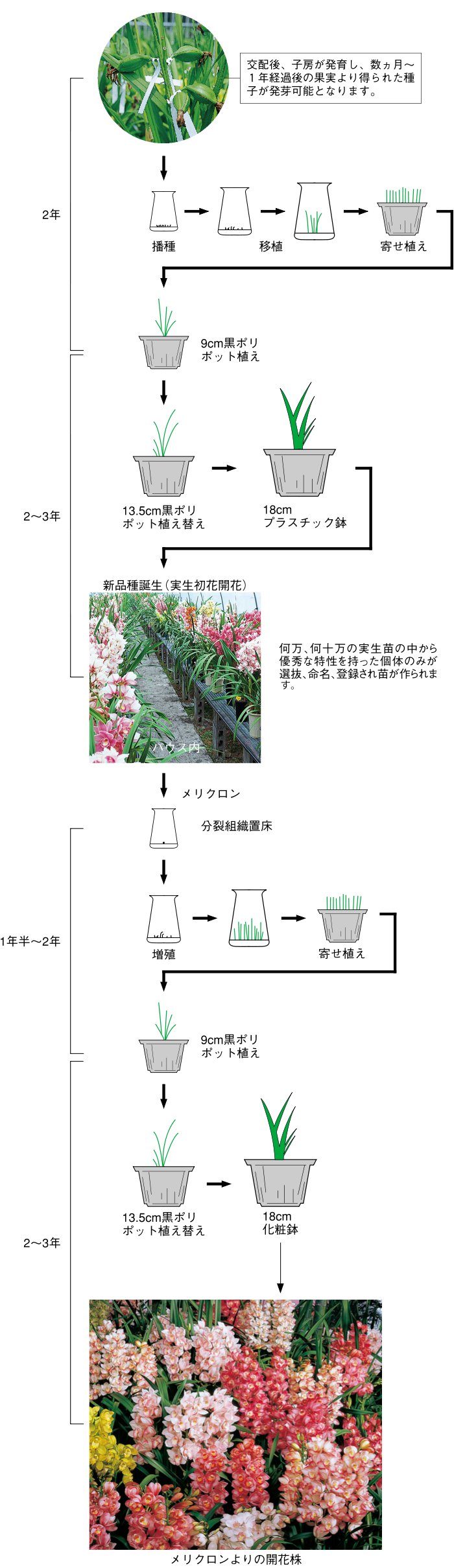 工程