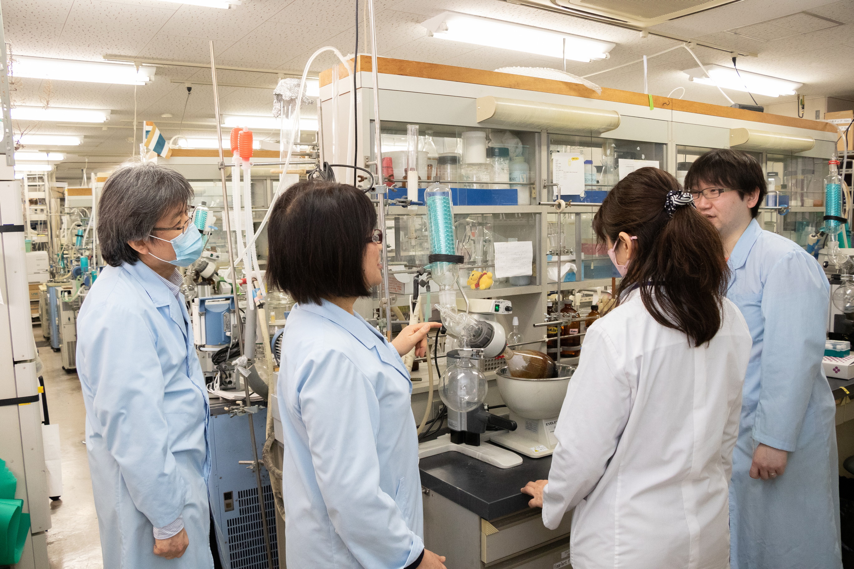徳島文理大学 生薬研究室