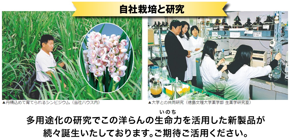 自社栽培と研究