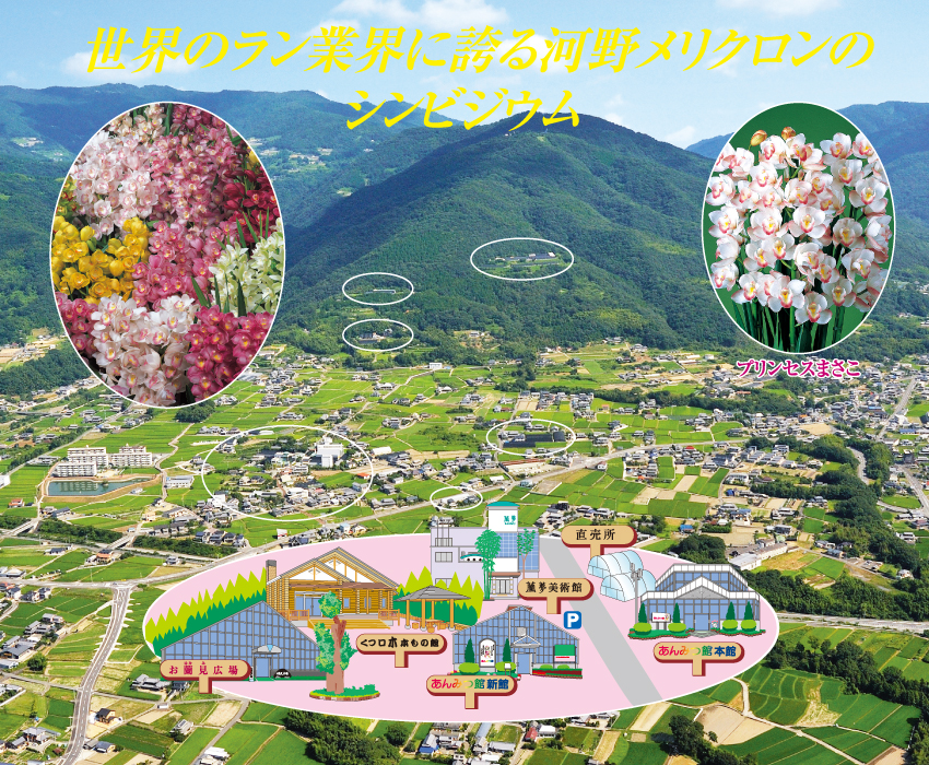 あんみつ館